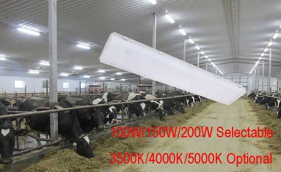 100W 3500K 4FT LED Vapor Tight High Bay IP67 con difusor de policarbonato transparente