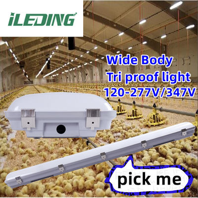 Gasket de silicio LED vapor cerrado alta bahía IP67 impermeable 200W para almacén industrial