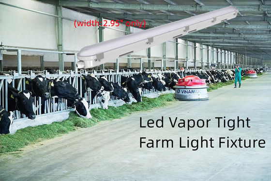 4FT Tri Proof LED Light Fixture 42W Lineal Vapor Tight Light Para el almacenamiento de alimentos Durable
