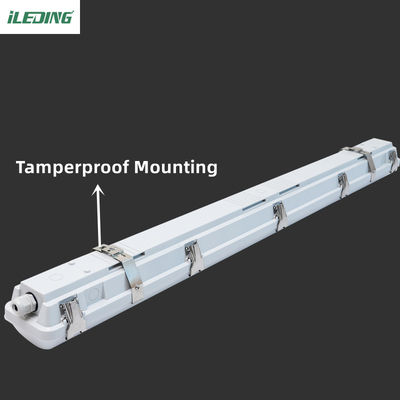 4 kg de luz de almacenamiento de 4FT 46W 65W IP66 65W