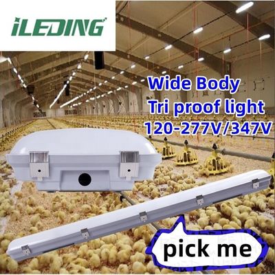 50000 horas de vida útil 140lm/w 4FT 155W Tri Proof IP67 IK10 LED Vapor Tight High Bay