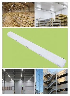 IP66 impermeable lineal 65W de almacenamiento LED de vapor energía de luz estrecha para granjas lecheras interiores